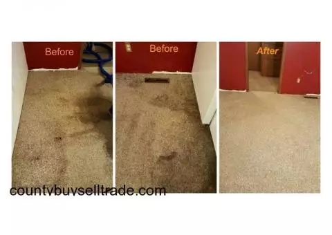 Professional steam cleaning services